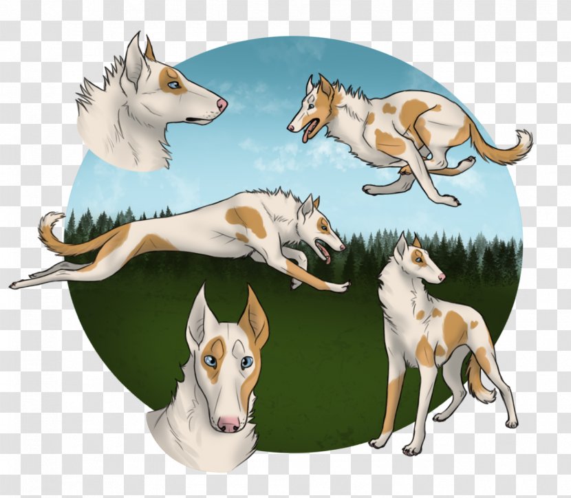 Whippet Dog Breed Fauna 08626 - Like Mammal - Whiteout Transparent PNG