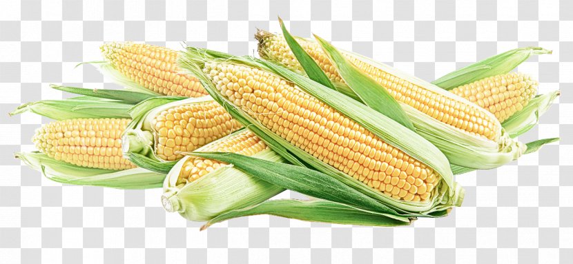 Corn Kernels On The Cob Sweet Vegetable - Plant Cuisine Transparent PNG