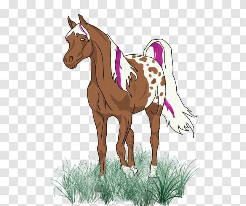 Foal Pony Colt Art - Horse Supplies - Land Animals Transparent PNG