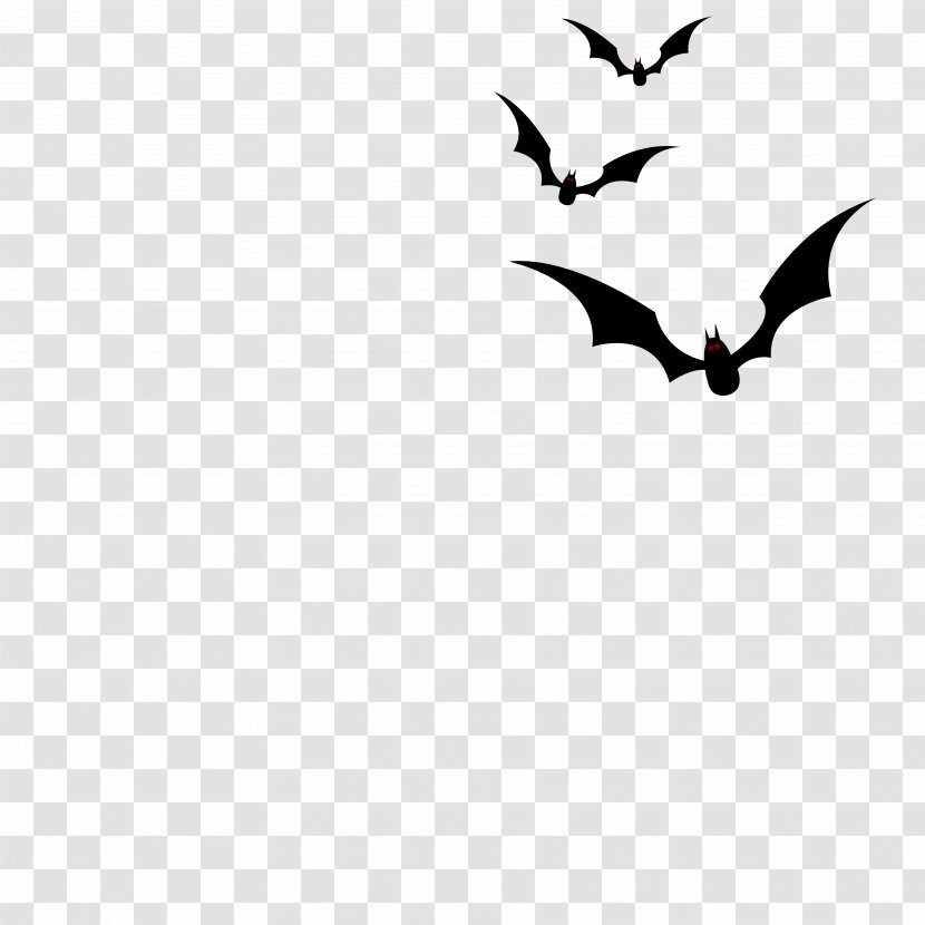 Bat Halloween - White - Horror Creative Transparent PNG