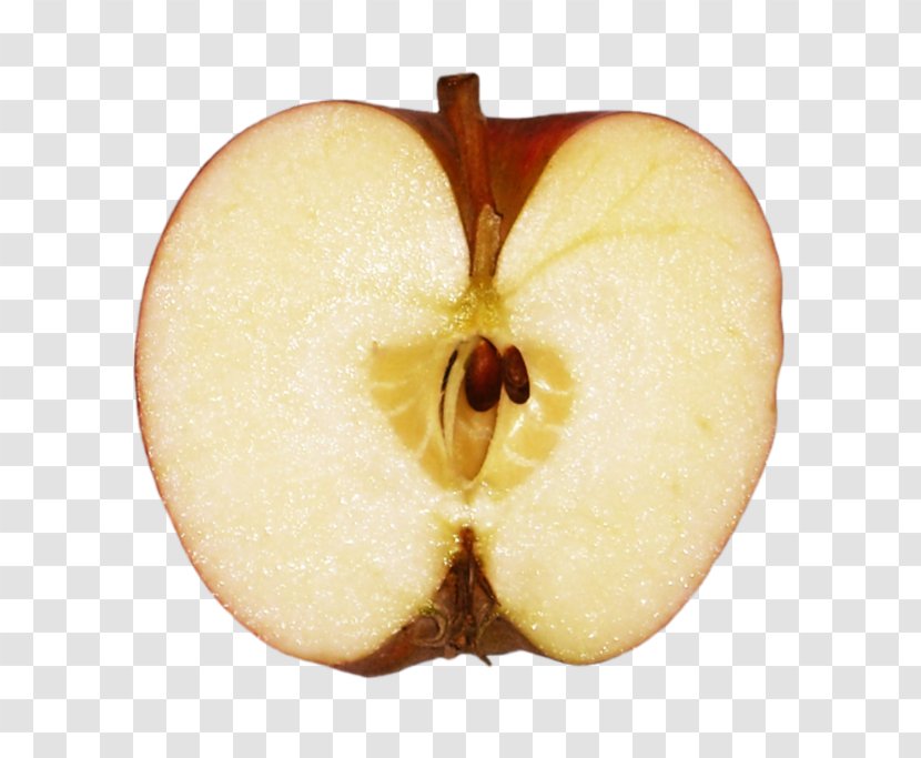 Apple Download - Gratis - Half Transparent PNG