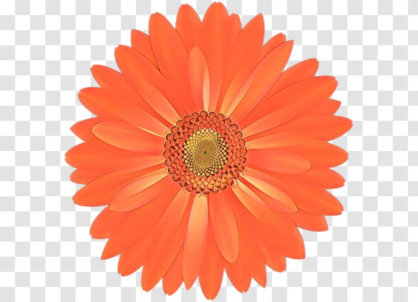 Halloween Paper Fan Party Hand Image - Flower - Barberton Daisy Transparent PNG