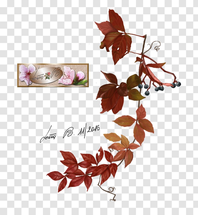 Fantasy Fairy Plants Graphic Design Art - Flowering Plant - Virginia Creeper Transparent PNG
