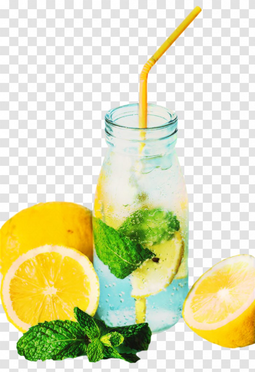 Weight Loss Alternative Health Services Food Traditional Medicine - Lemon Basil - Soft Drink Transparent PNG