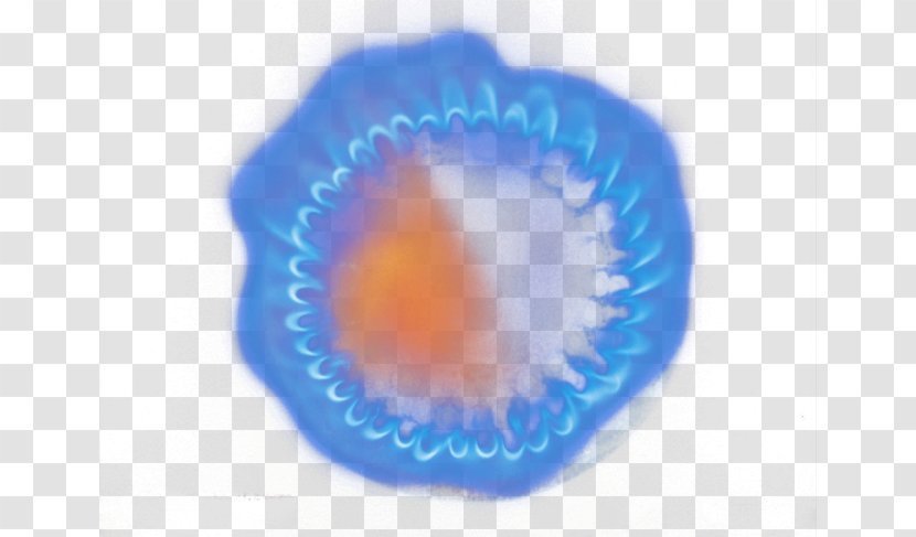 Circle Close-up Organism Wallpaper - Blue - Gas Flame Transparent PNG