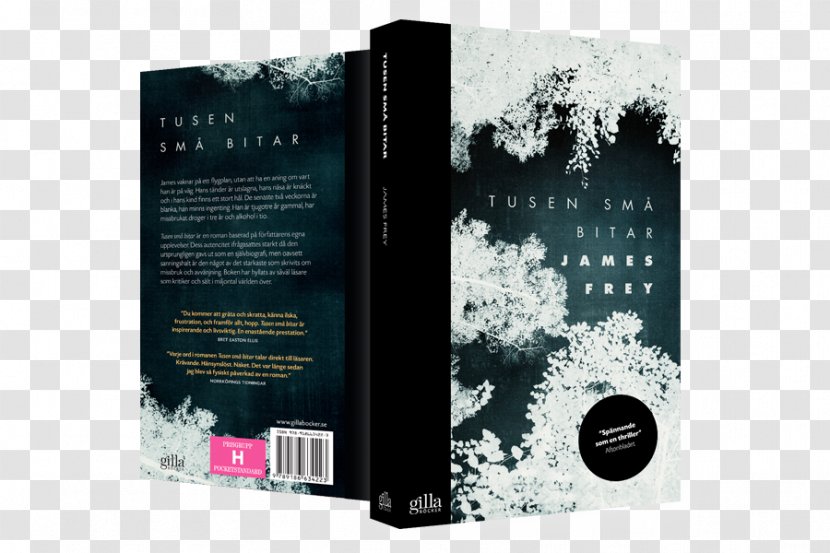 Endgame: The Calling Endgame - Ebook - Pelin Säännöt A Million Little Pieces Sista Testamentet BookBook Cover Design Transparent PNG