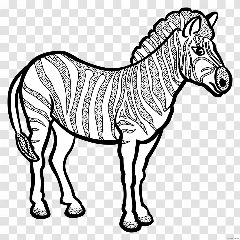 Zebra Vector Graphics Line Art Clip Horse - Donkey Transparent PNG