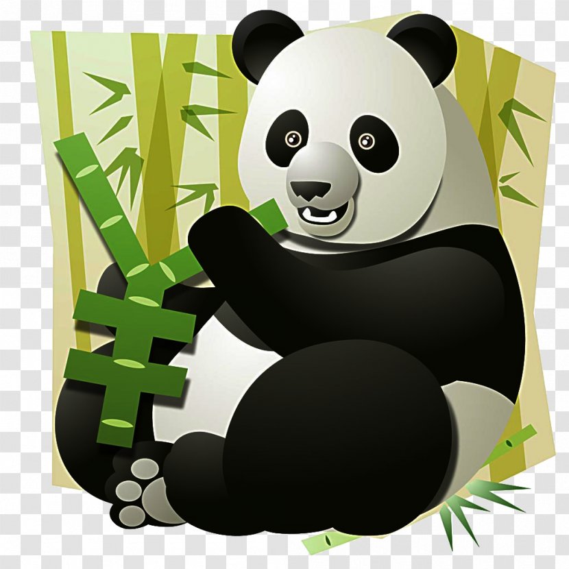 Giant Panda Bear Bamboo Illustration - Grass - Eat Transparent PNG