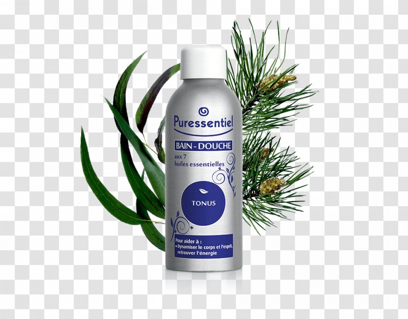 Lotion Essential Oil Phytotherapy Eucalyptus - Herbal - Bien Etre Transparent PNG