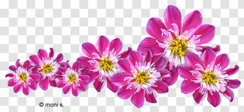 Flower Bouquet Blume Clip Art - Flowering Plant Transparent PNG