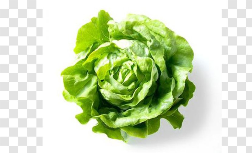 Vegetable Salad Seed Celtuce Food - Butterhead Lettuce Transparent PNG