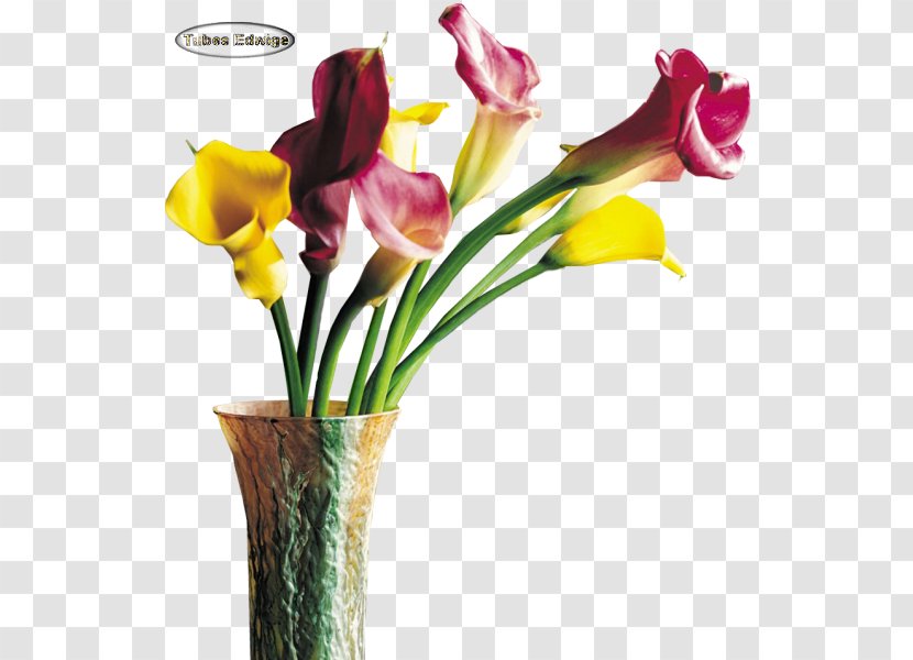 Floral Design Cut Flowers Iris Family Vase - Plant - Flower Transparent PNG