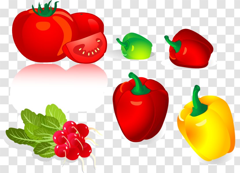 Bell Pepper Chili Vegetable - Food - Radish Tomato Vector Material Transparent PNG