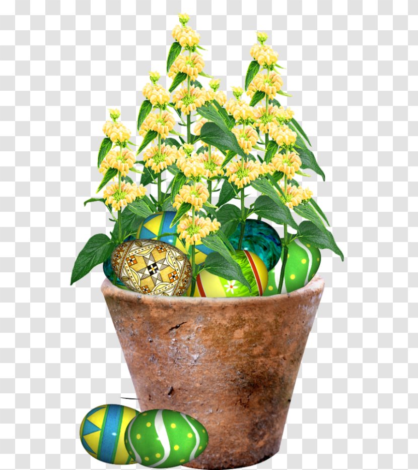 Houseplant Flowerpot Easter Photo Albums - Tree Transparent PNG