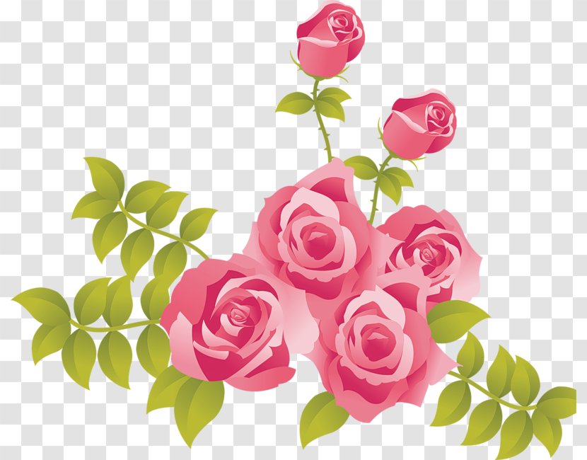 Rose Pink Clip Art - Free - Roses Painted Picture Clipart Transparent PNG