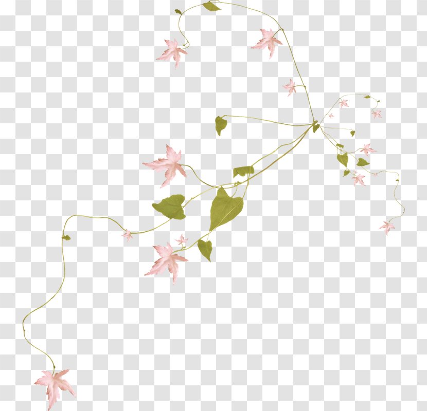 Clip Art - Drawing - Flower Transparent PNG