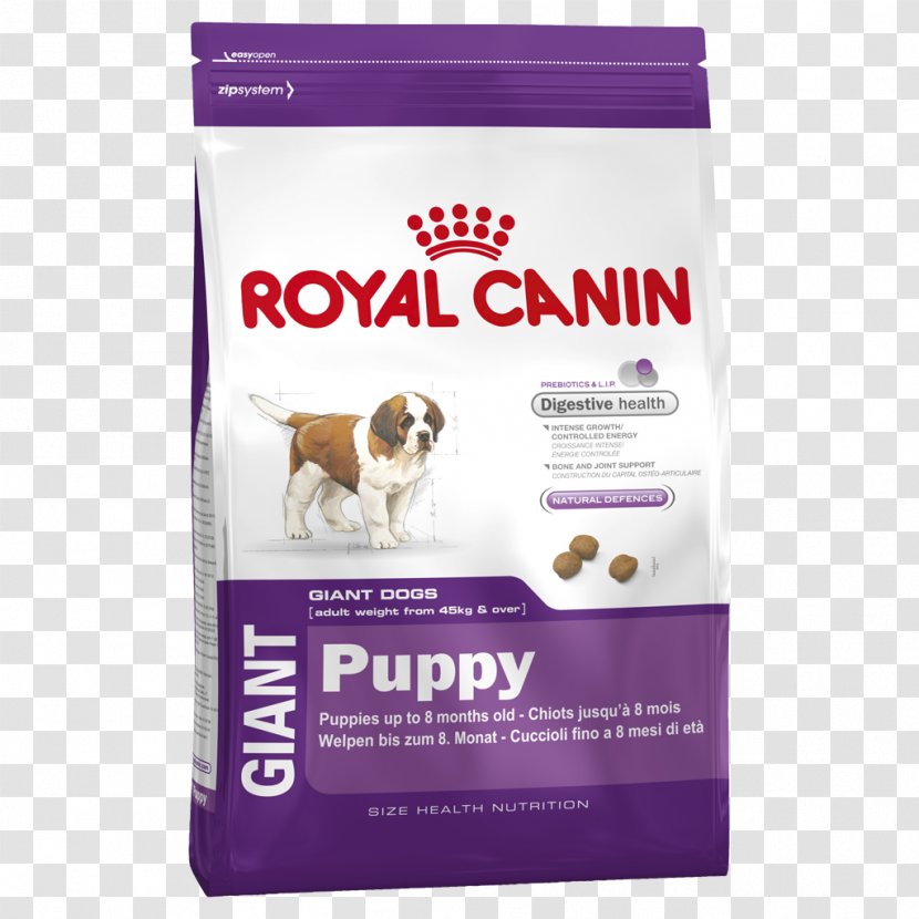 Great Dane Puppy German Shepherd Cat Golden Retriever - Royal Canin Transparent PNG