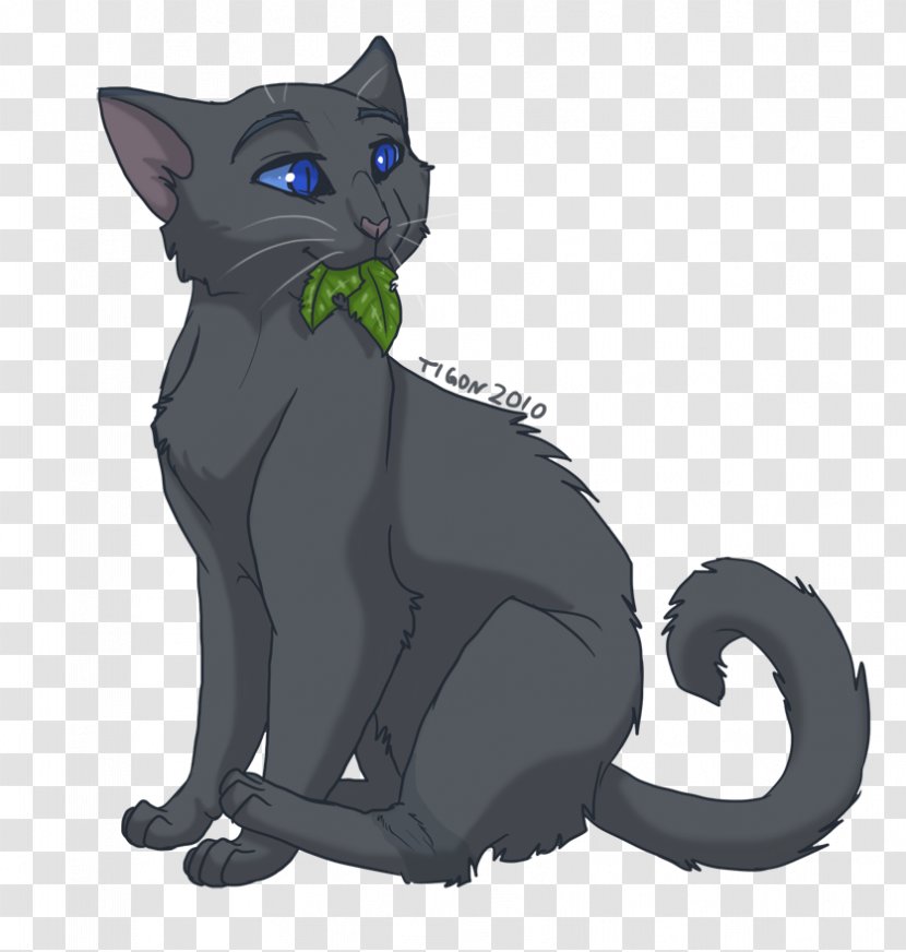 Medicine Cat Warriors Firestar Cinderpelt - Erin Hunter Transparent PNG