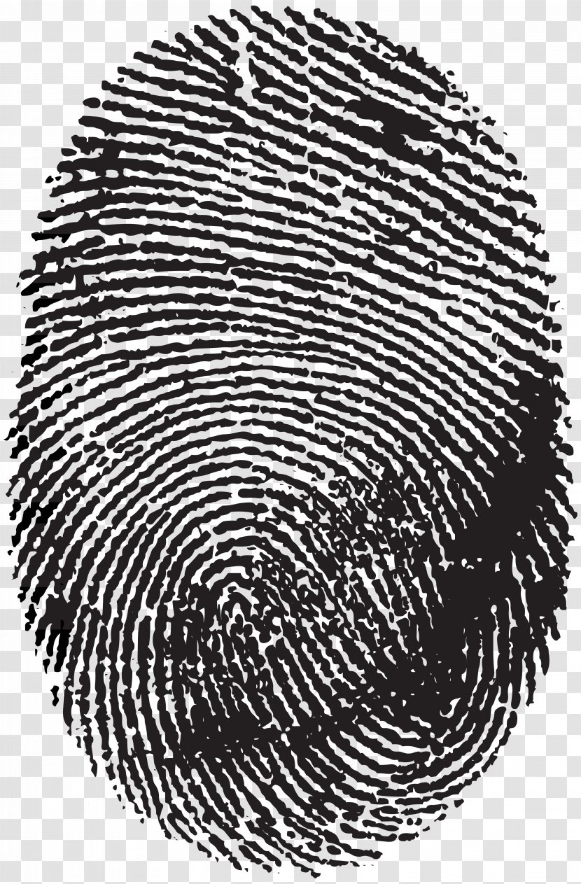 Fingerprint Image Scanner No Icon - Spiral - Clip Art Transparent PNG