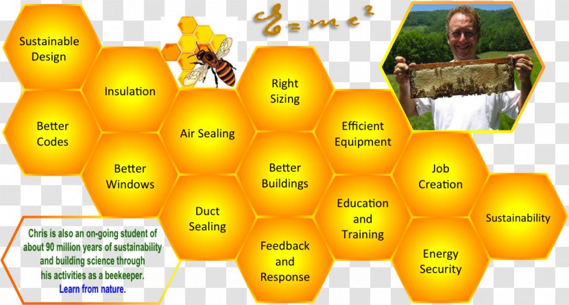 Honey Bee Science Fair Projects Project Transparent PNG
