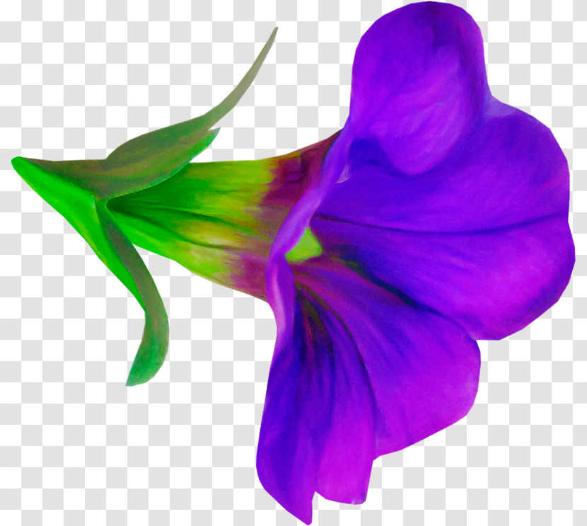 Purple Violet Petal Flower Plant Transparent PNG