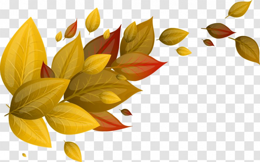 Autumn Leaf Euclidean Vector Yellow - Petal - Leaves Transparent PNG