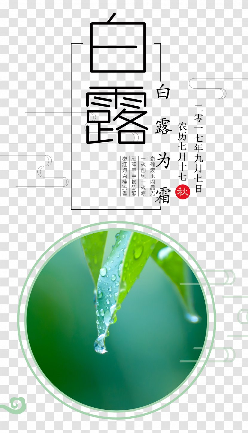 Dongzhi Daxue Hanlu Bailu Solar Term - Product Design - Simple Egret Poster Free Button Material Transparent PNG