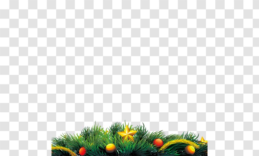 Christmas Download - Grass - Creative Transparent PNG