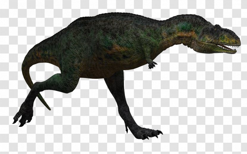 Tyrannosaurus Aucasaurus King Chomp Dinosaur Velociraptor - Pterosaurs - Creative Transparent PNG
