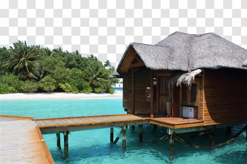 Maafushi Package Tour Resort Hotel Vacation - Beach - Maldives Pictures Transparent PNG