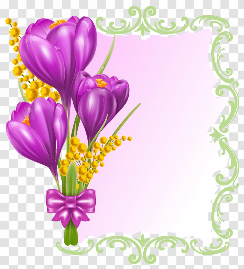 Flower Purple Crocus Clip Art - Plant - Spring Decorative Blank Clipart Transparent PNG