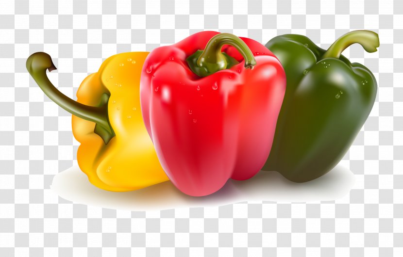 Bell Pepper Capsicum Vegetable Clip Art - Paprika - Chili Transparent PNG