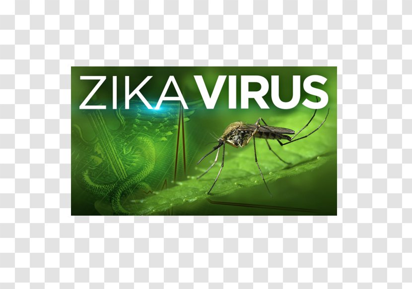 Zika Virus Ebola Disease Fever - Viral Hemorrhagic - Health Transparent PNG