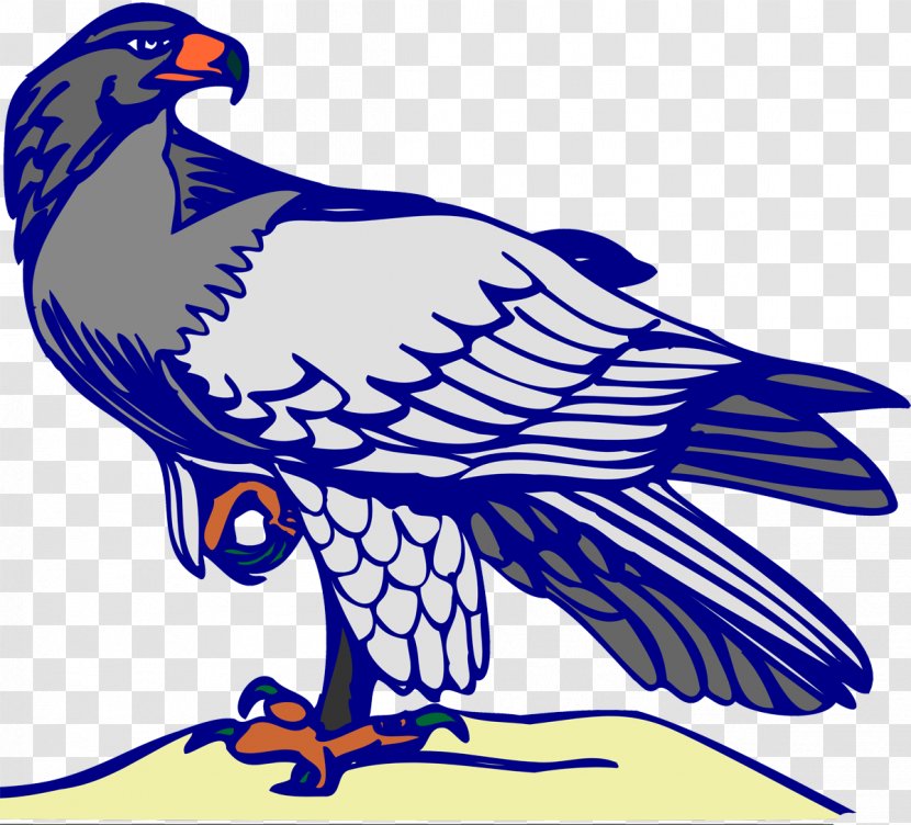 Bald Eagle Oryol Beak Feather - Artwork Transparent PNG