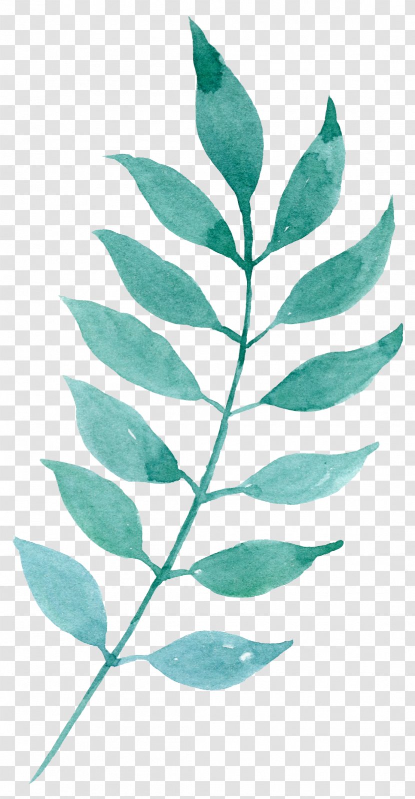 Watercolor Painting Download Leaf - Tree - Hand-painted Mint Green Leaves Transparent PNG