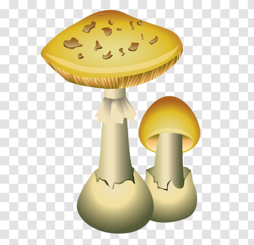 Common Mushroom Vector Graphics Edible Illustration - Fungus Transparent PNG