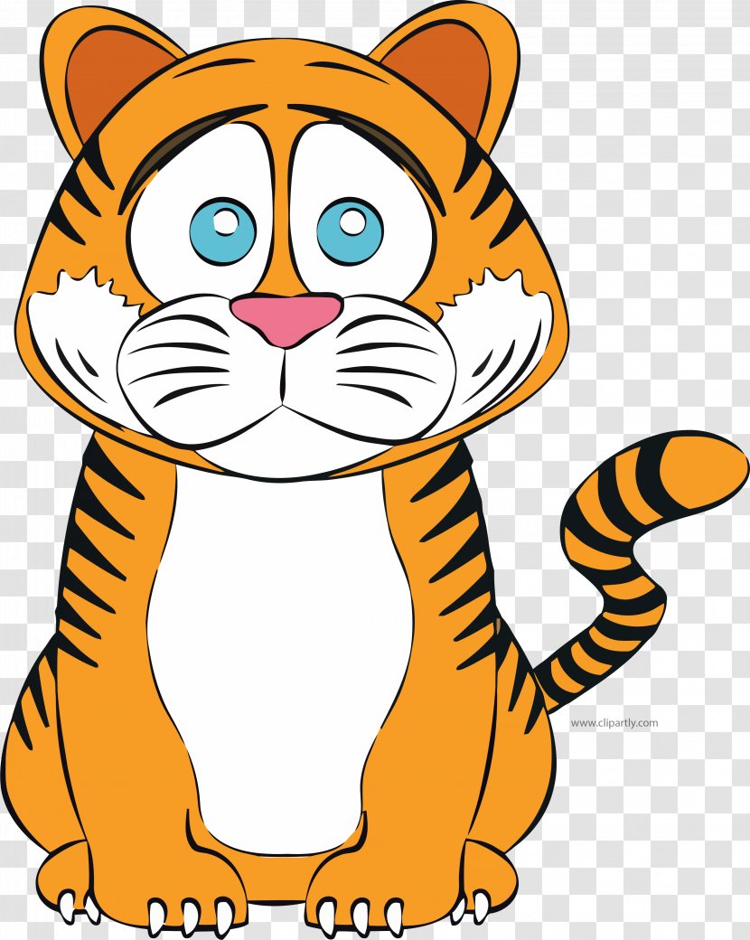 Tiger Clip Art Whiskers Vector Graphics Image - Carnivoran Transparent PNG