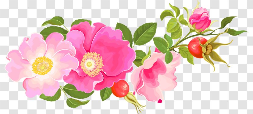 Garden Roses Centifolia Floral Design Floribunda - Flower Arranging - Pink Transparent PNG