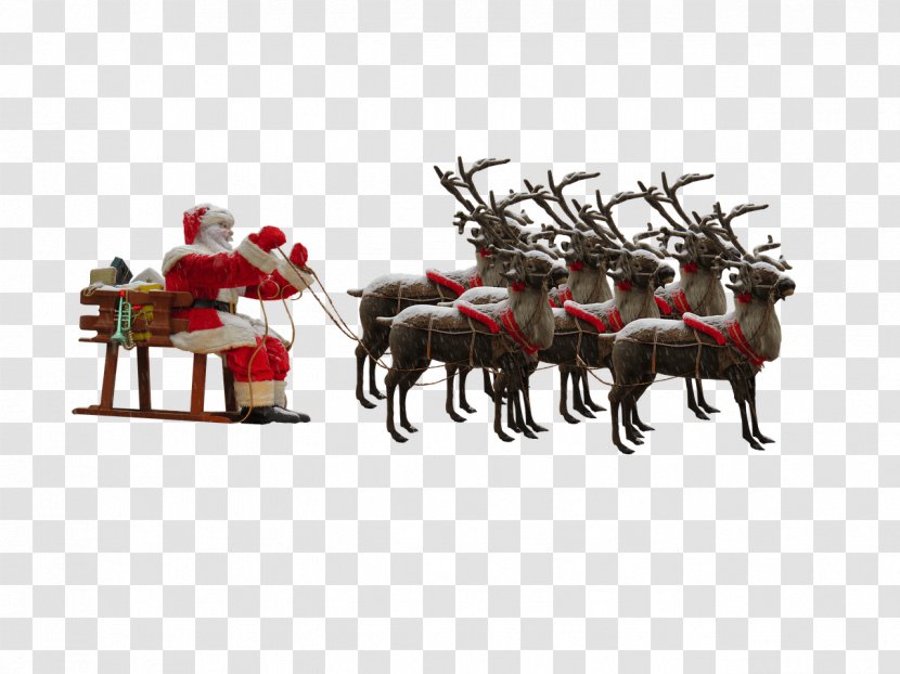 Santa Claus's Reindeer Mrs. Claus Christmas - Decoration Transparent PNG