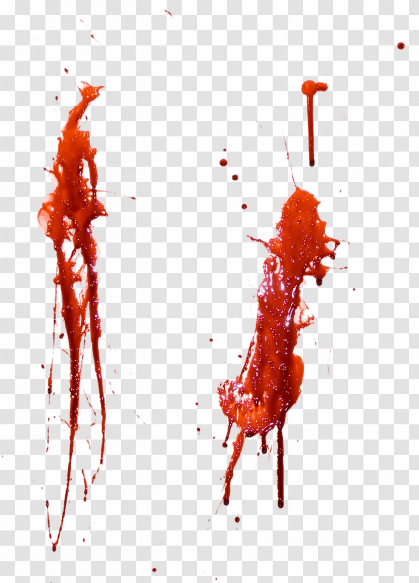 Blood Clip Art - Frame - Image Transparent PNG