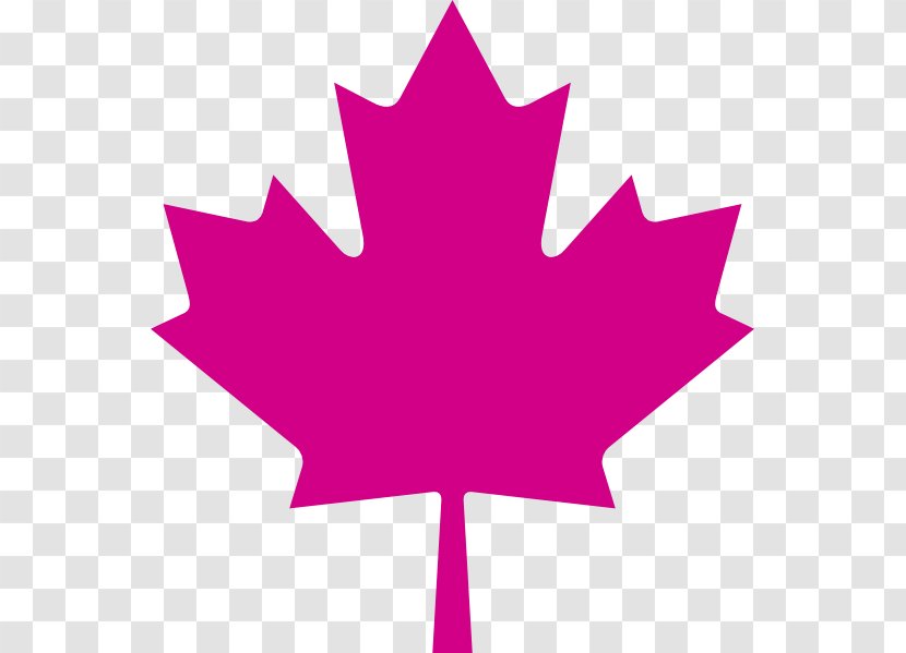 Flag Of Canada Maple Leaf Clip Art - Japanese - Purple Leaves Transparent PNG