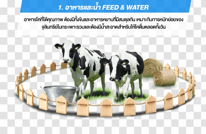 Cattle Brand - Livestock - Gold Carousel Transparent PNG