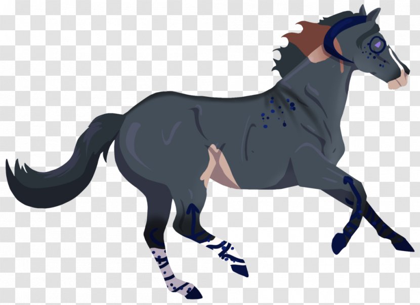 Mustang Pony Stallion Rein Mane - Tail Transparent PNG
