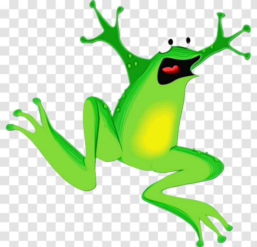 Agalychnis Tree Frog Hyla - Shrub Green Transparent PNG