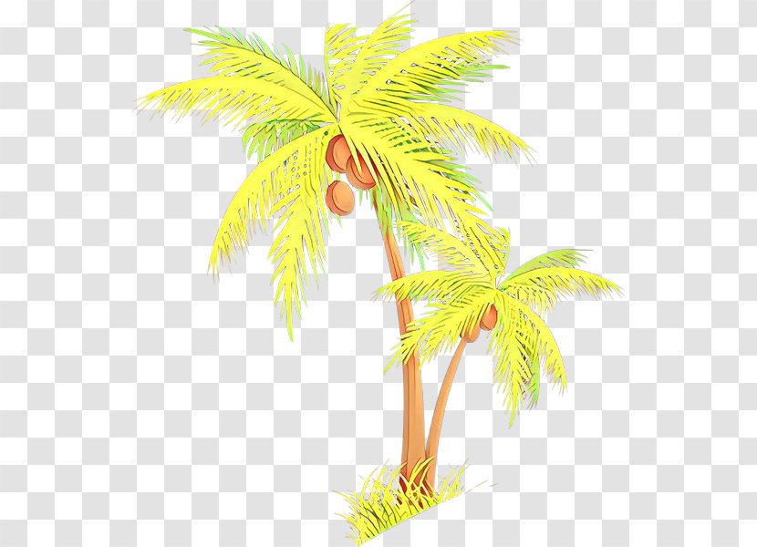Coconut Palm Trees Plant Stem Date Leaf - Elaeis Transparent PNG