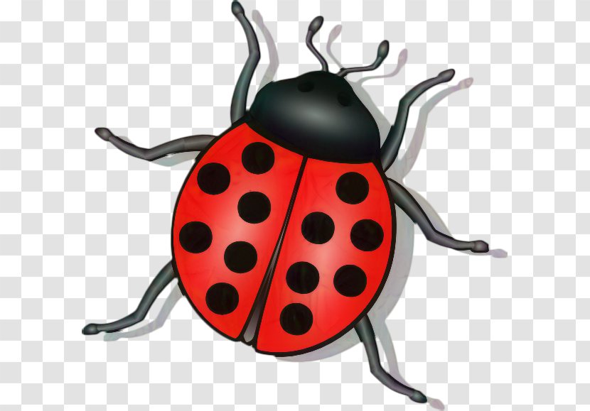 Clip Art Openclipart Free Content Insect - Invertebrate - Leaf Beetle Transparent PNG