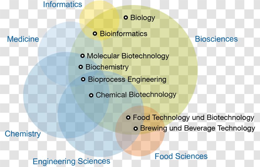 Technical University Munich Bachelor's Degree Master's TUM Department Of Informatics And Mathematics Bachelor Science - Information Transparent PNG