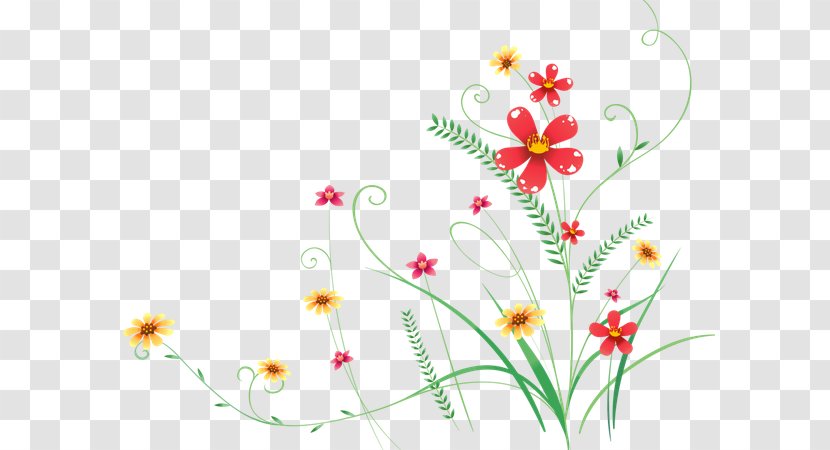 Floral Design Desktop Wallpaper Computers - Flowering Plant Transparent PNG