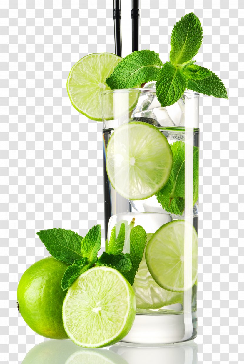Water Mint Lemon-lime Drink Ionizer - Lemonade Transparent PNG