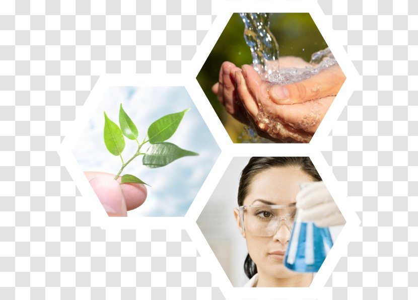 Chemical Industry Responsible Care Canada Chemistry Transparent PNG